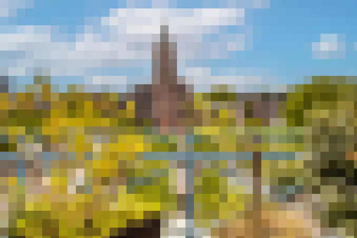 Wilhelminaplantsoen 79 Bussum thumbnail 22