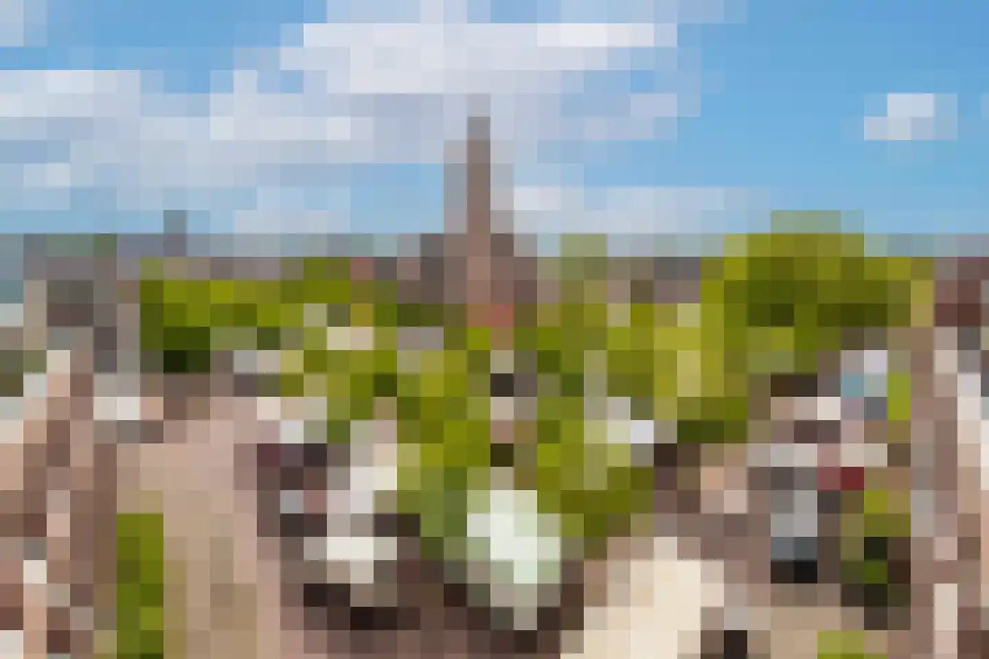 Wilhelminaplantsoen 79 Bussum thumbnail 23