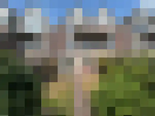 Wilhelminaplein 12 Akersloot thumbnail 18