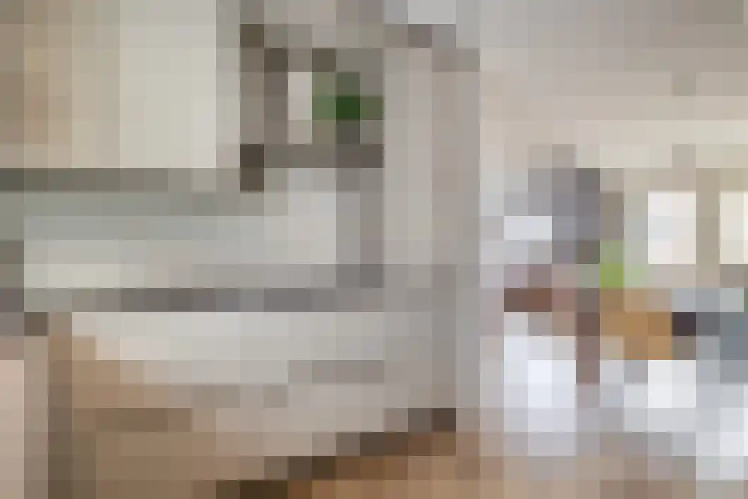 Wilhelminaplein 17 Beilen thumbnail 22