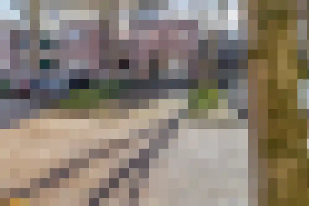 Wilhelminaplein 17 Beilen thumbnail 33