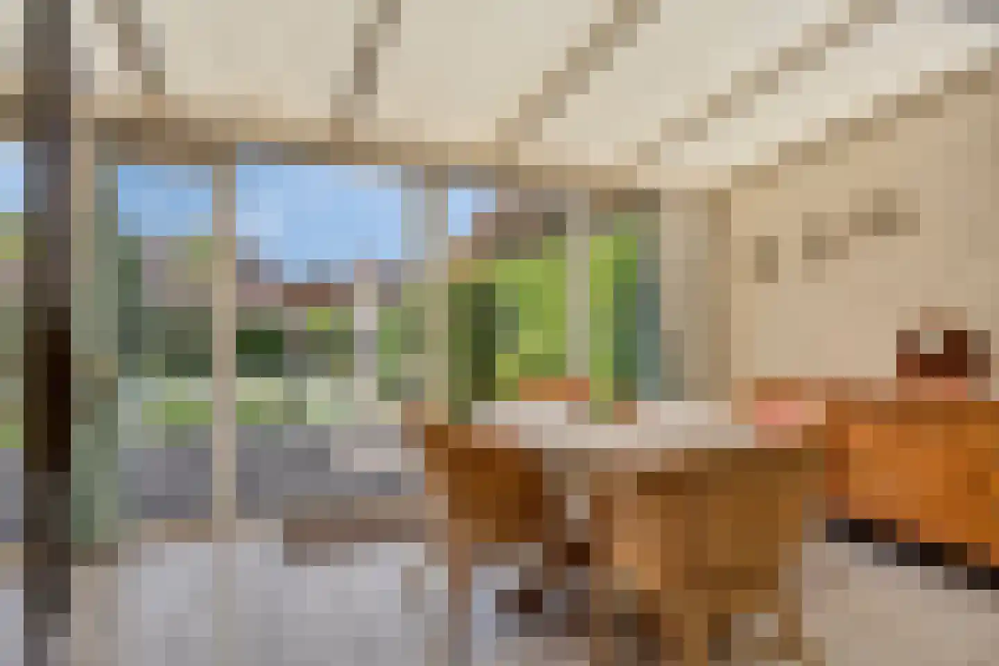 Wilhelminaplein 20 Dongen thumbnail 17