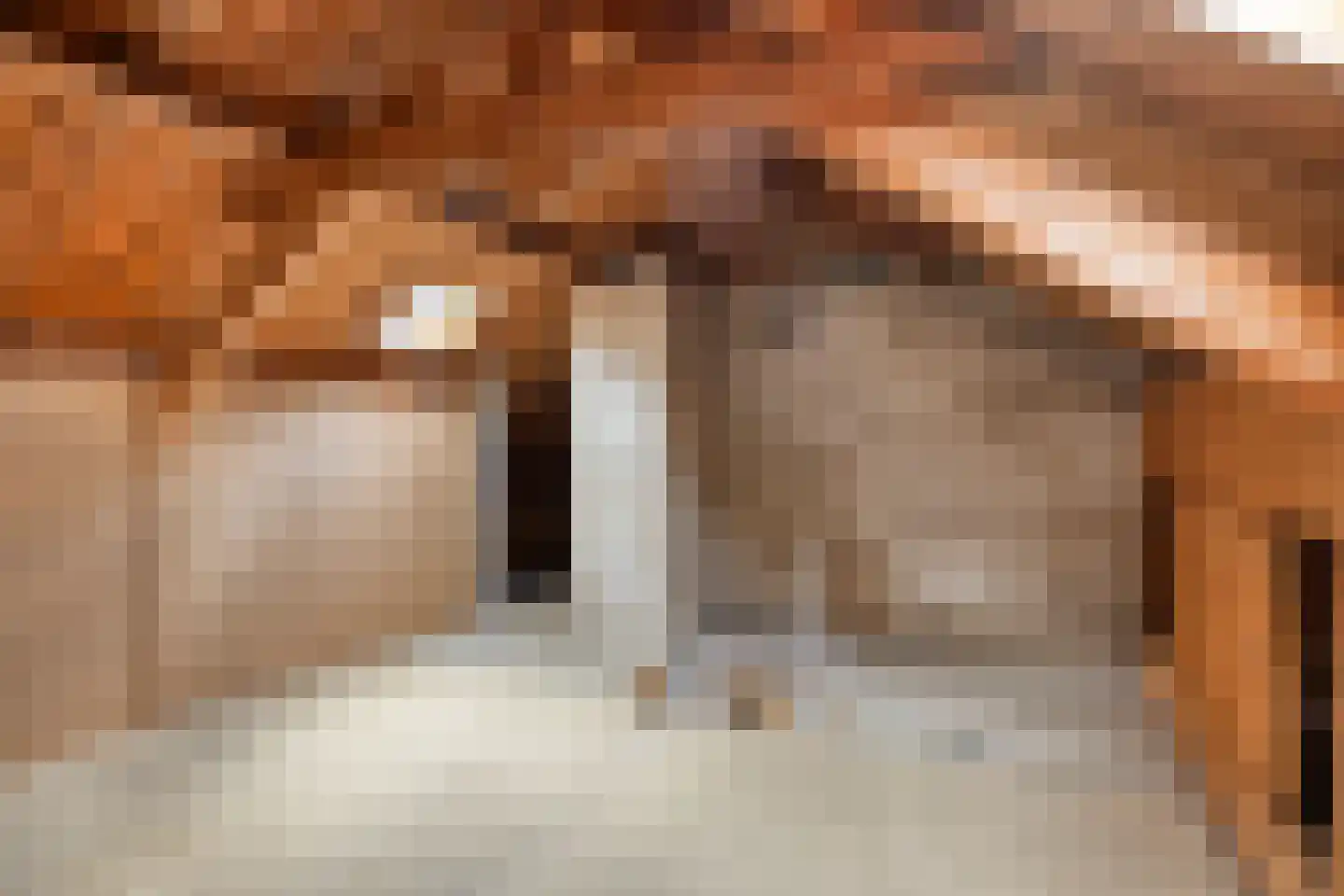 Wilhelminaplein 20 Dongen thumbnail 31