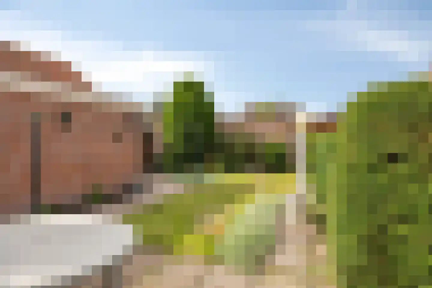Wilhelminaplein 20 Dongen thumbnail 33