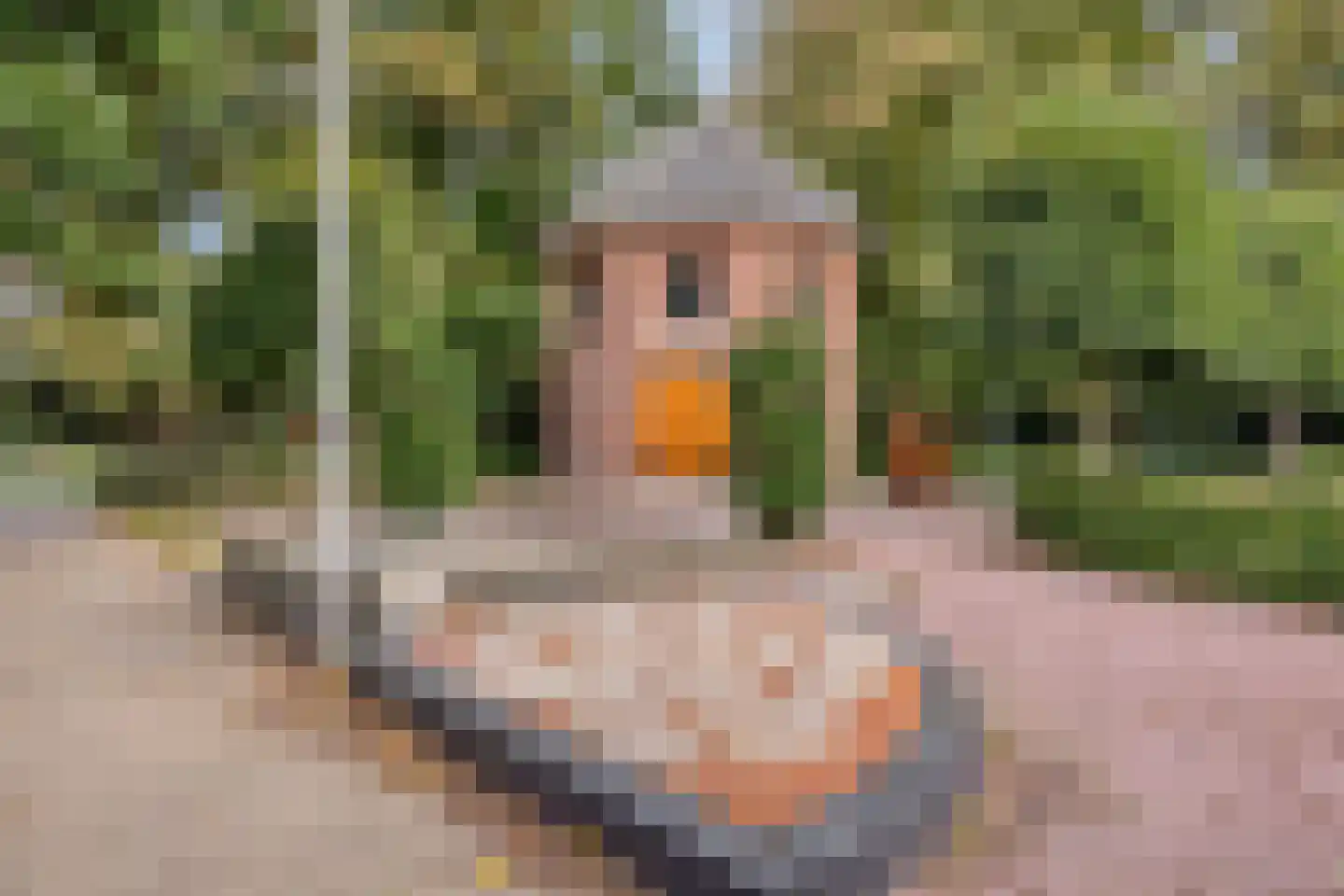 Wilhelminaplein 20 Dongen thumbnail 40