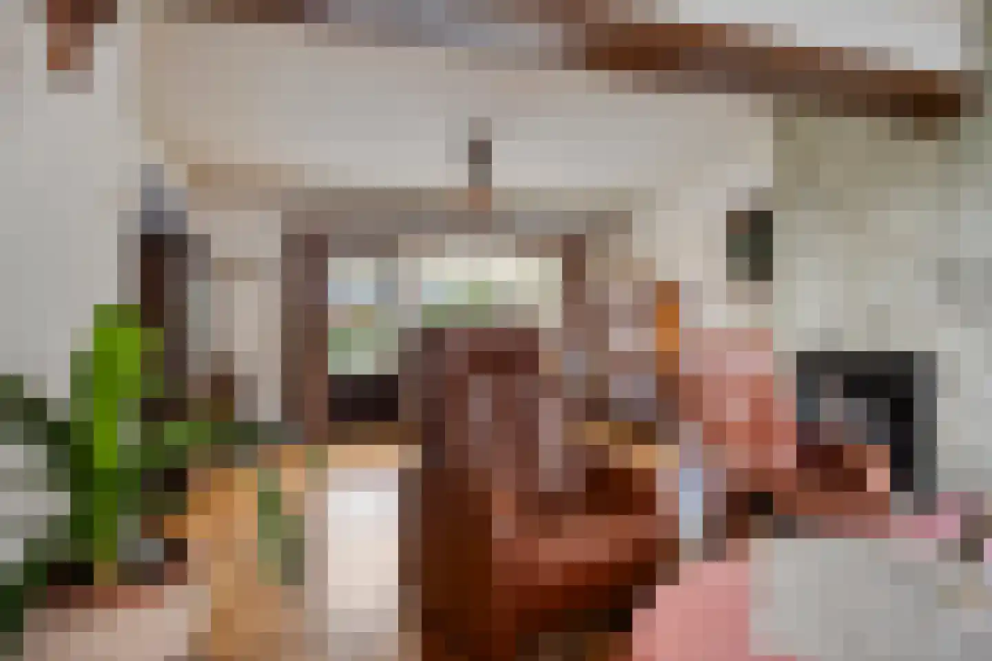 Wilhelminaplein 20 Dongen thumbnail 7