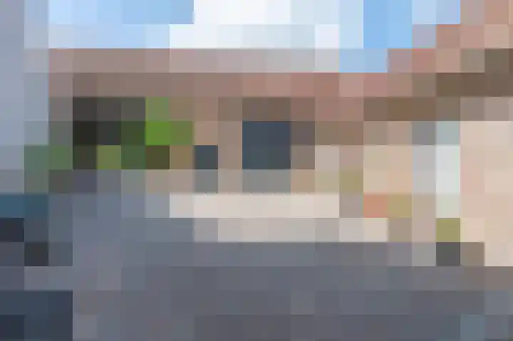 Wilhelminaplein 21 Stein thumbnail 8