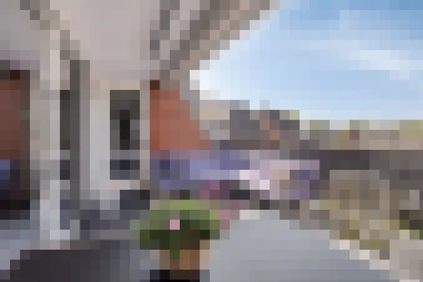 Wilhelminaplein 24 Someren thumbnail 33