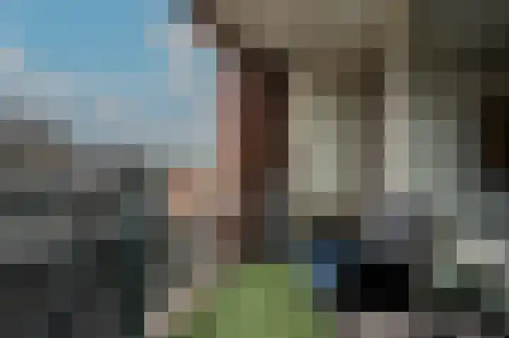 Wilhelminaplein 27 Oud-Beijerland thumbnail 10