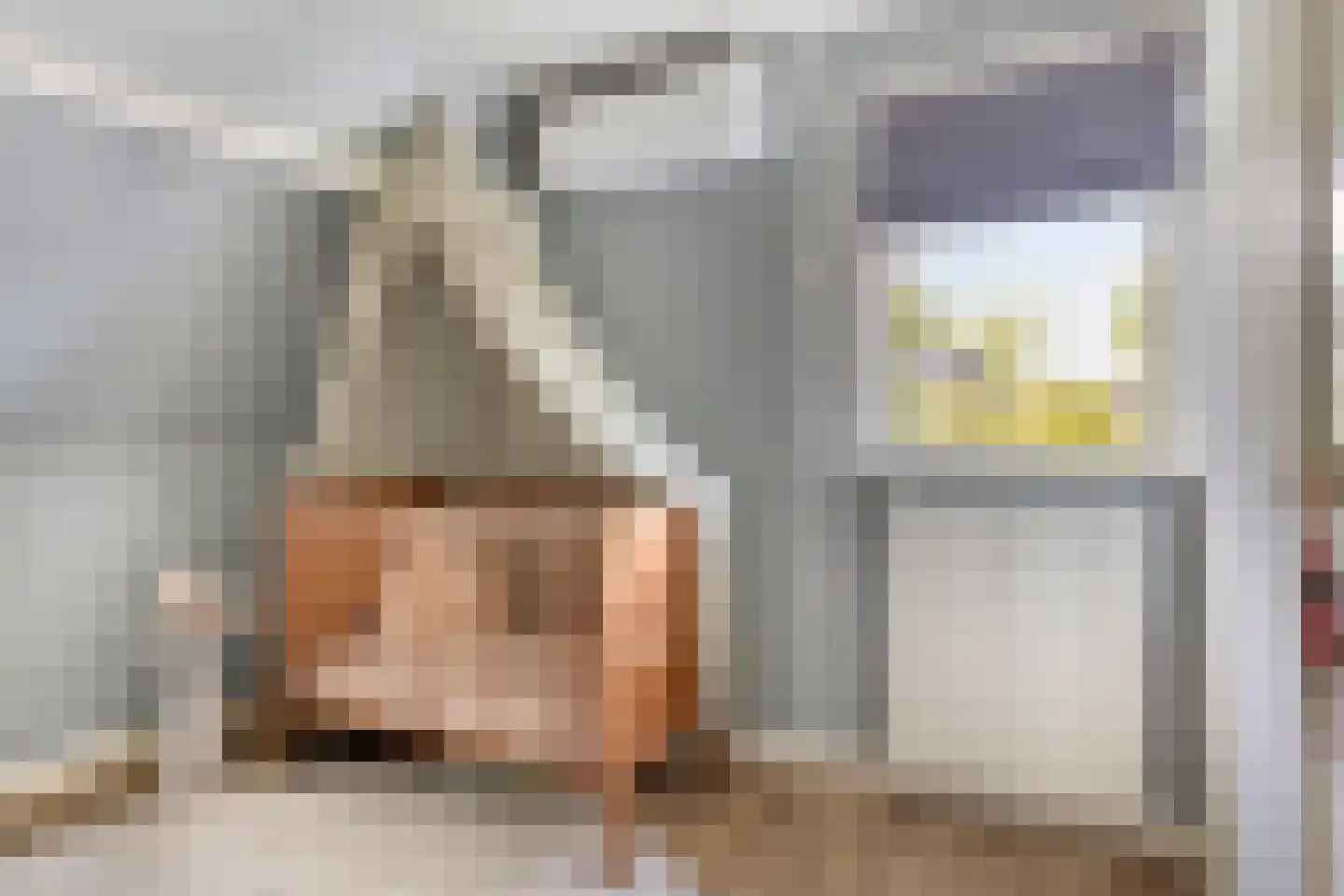 Wilhelminaplein 3 Bleiswijk thumbnail 22