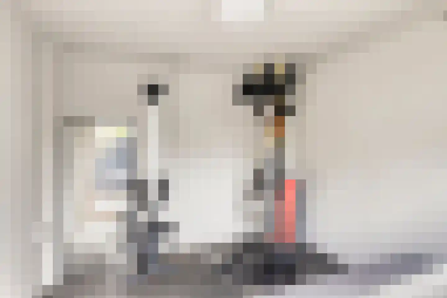 Wilhelminaplein 3 Bleiswijk thumbnail 28