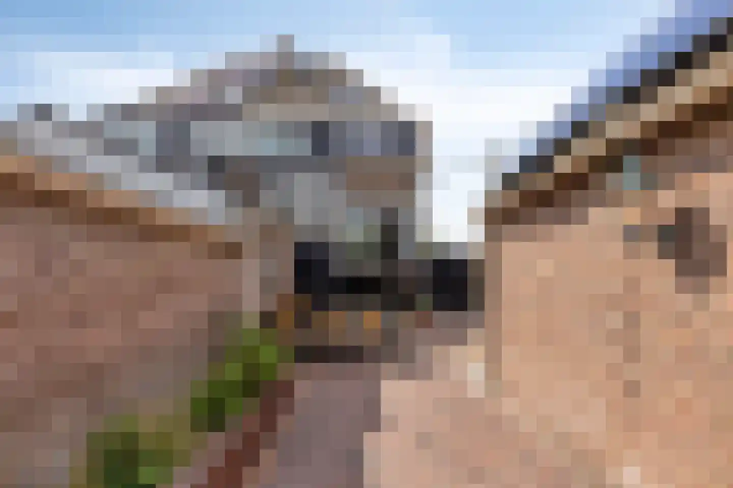 Wilhelminaplein 3 Bleiswijk thumbnail 30
