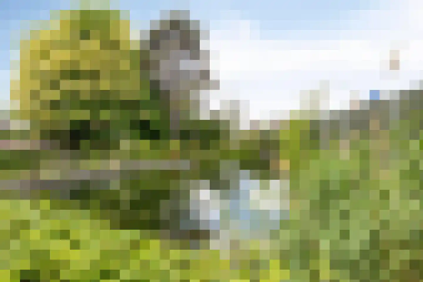 Wilhelminaplein 3 Bleiswijk thumbnail 39