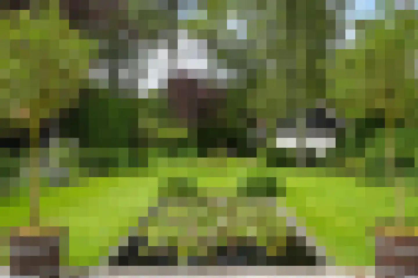 Wilhelminaplein 3 Wassenaar thumbnail 39