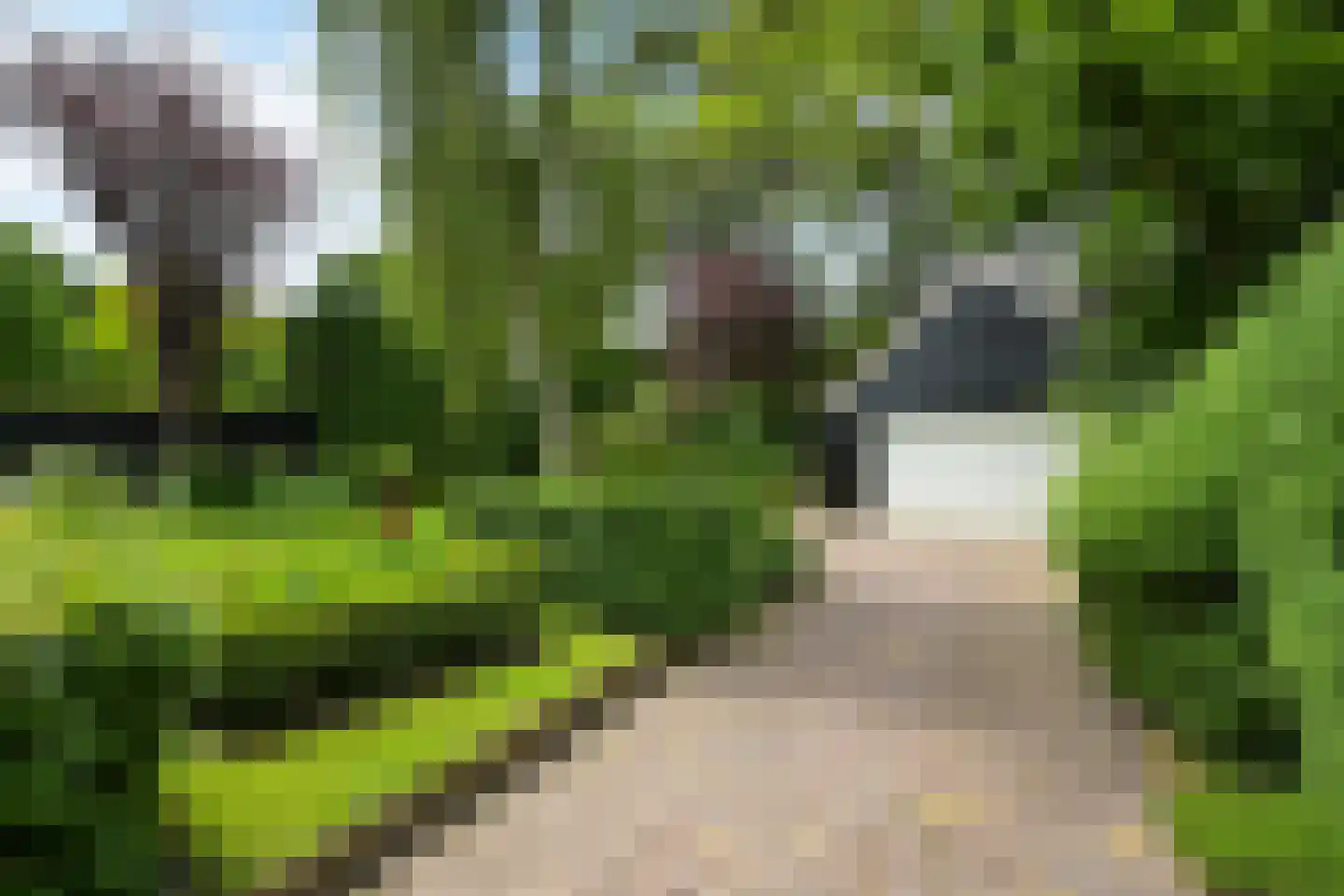 Wilhelminaplein 3 Wassenaar thumbnail 40