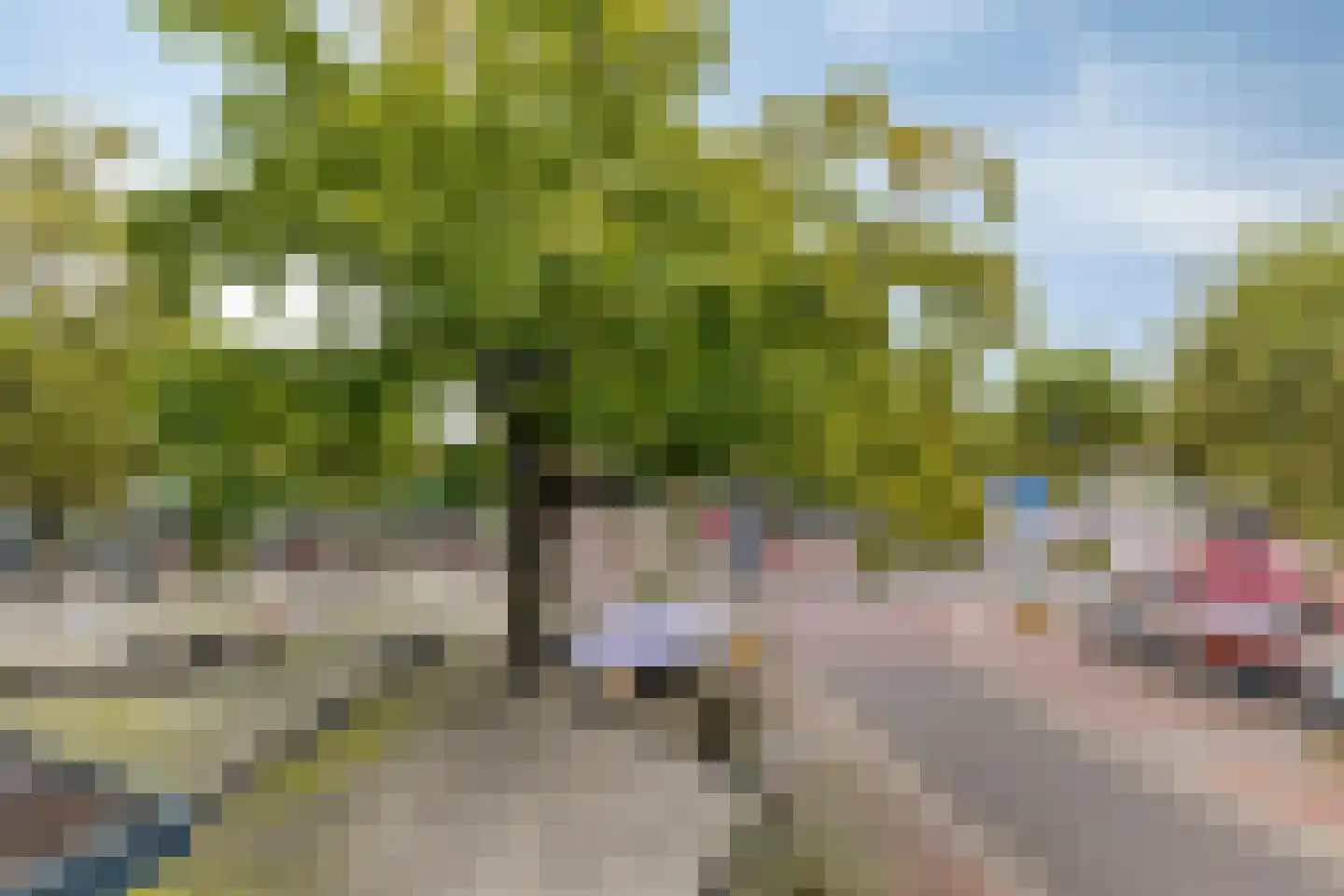 Wilhelminaplein 34 Someren thumbnail 35