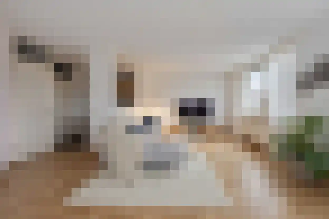 Wilhelminaplein 41 Tegelen thumbnail 5