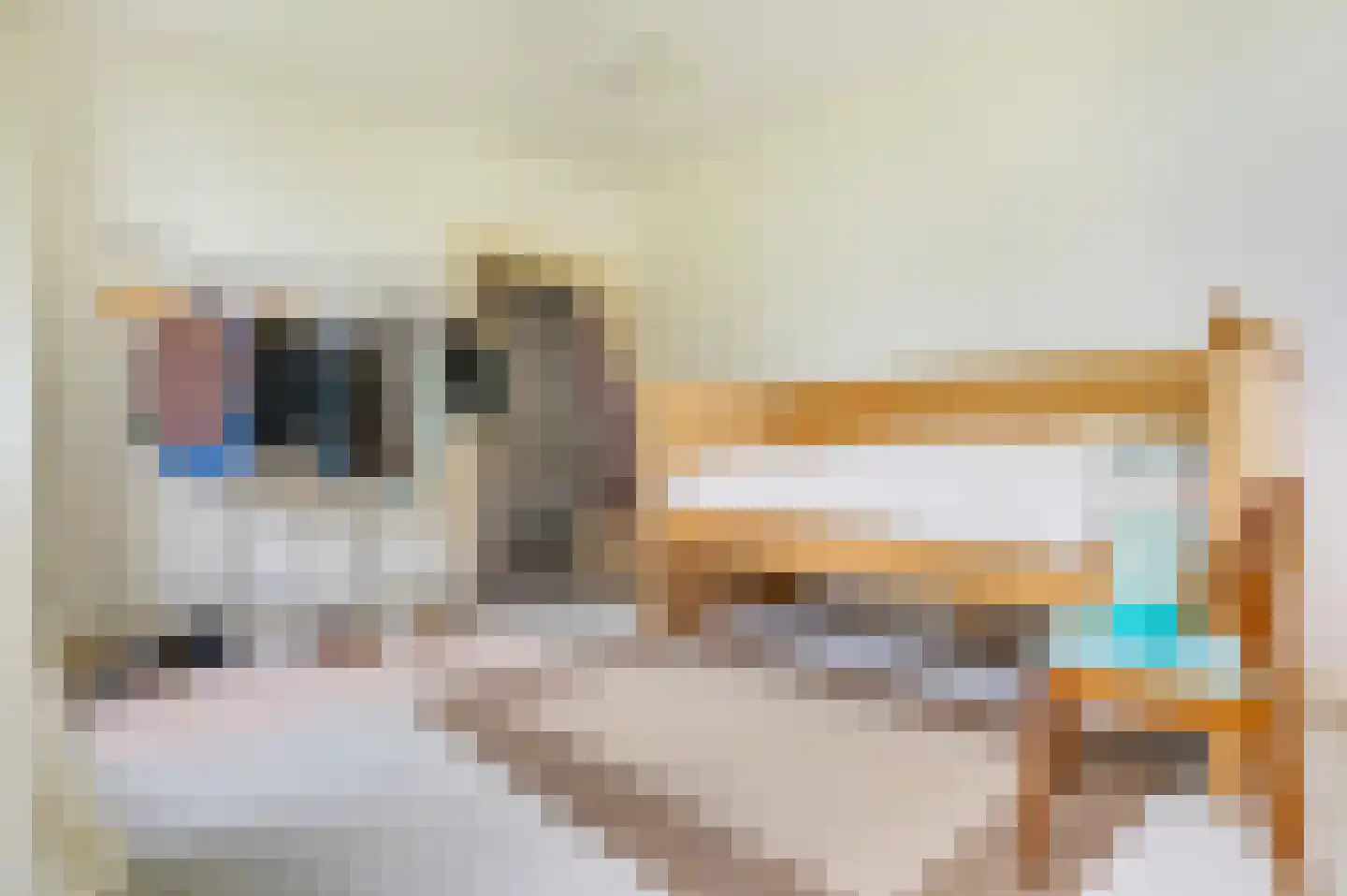 Wilhelminaplein 5 Zetten thumbnail 11