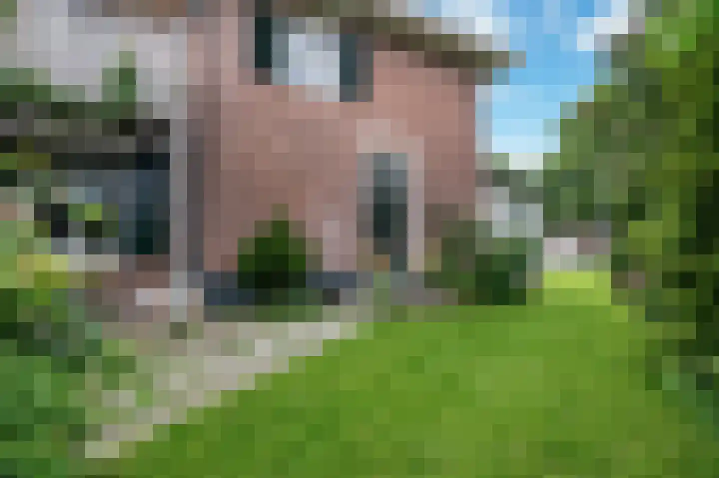 Wilhelminaplein 5 Zetten thumbnail 22