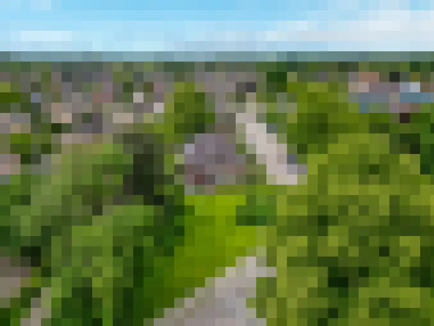 Wilhelminaplein 5 Zetten thumbnail 25
