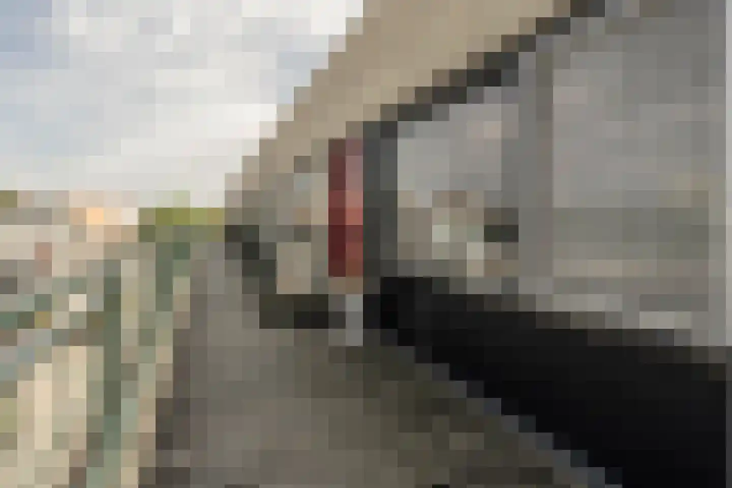 Wilhelminaplein 53 Oud-Beijerland thumbnail 5