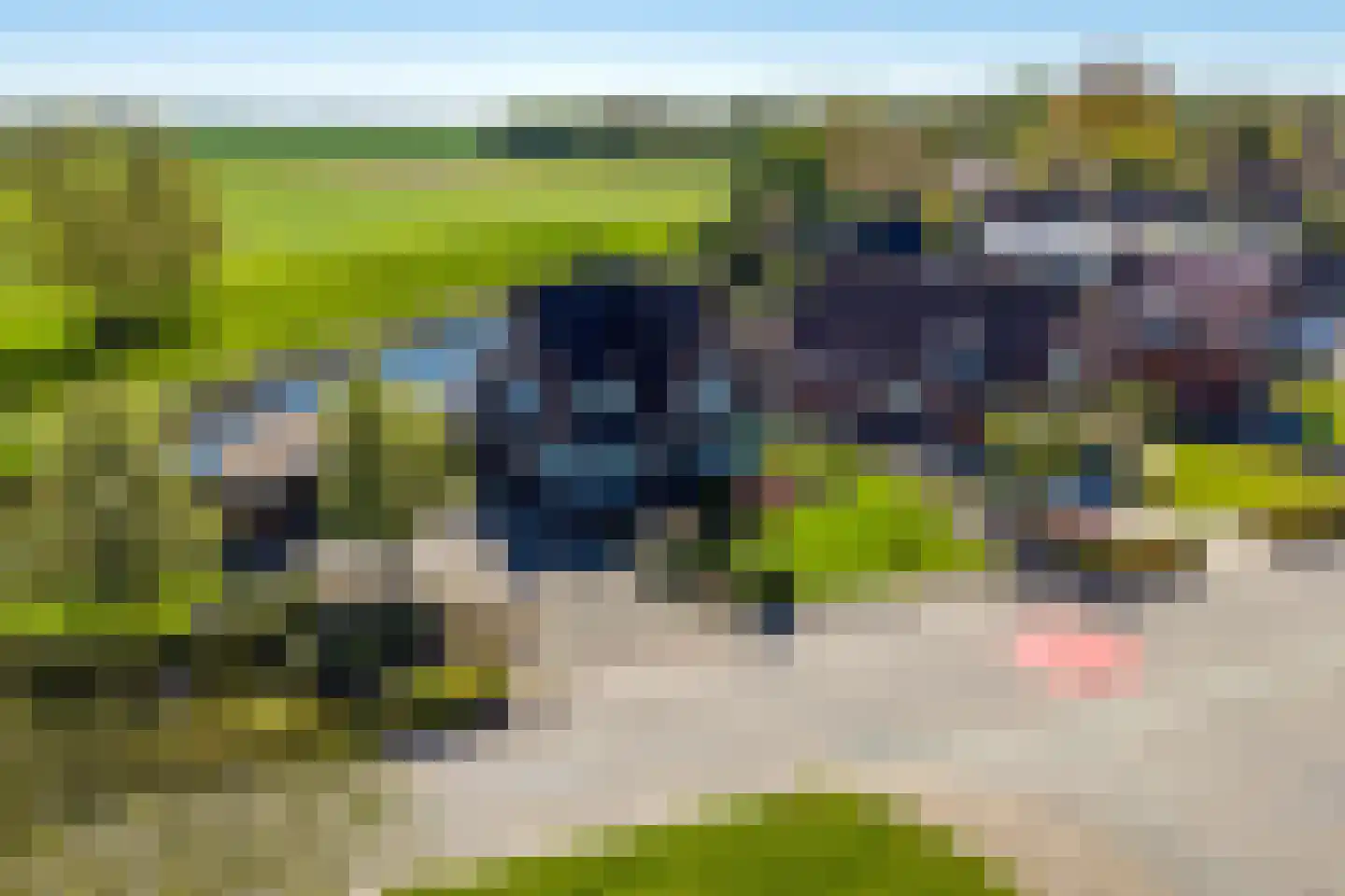 Wilhelminaplein 6 Beerta thumbnail 5