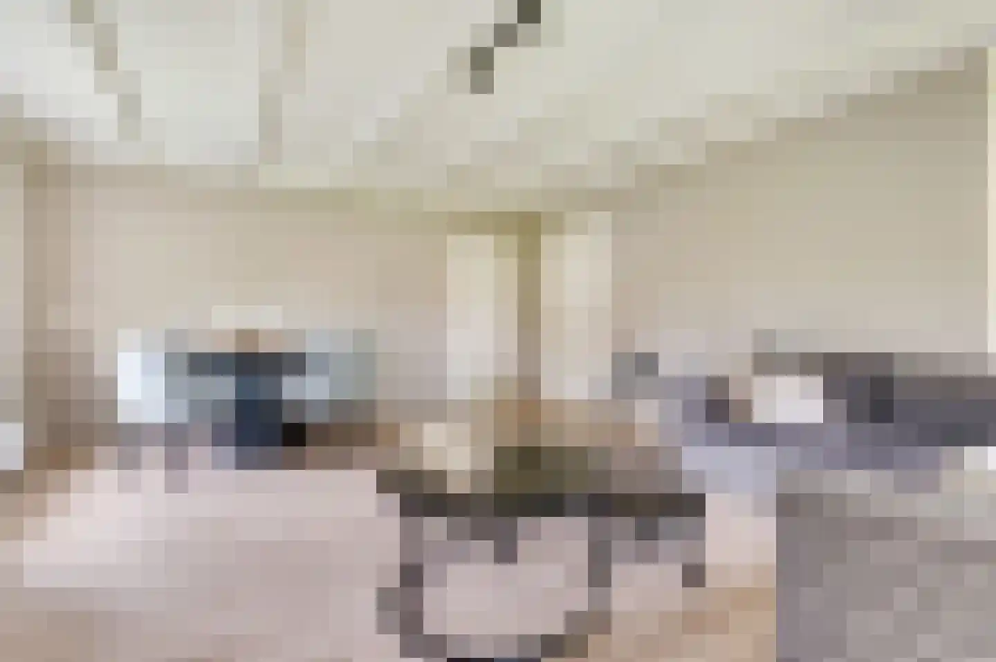 Wilhelminaplein 6 Zetten thumbnail 13