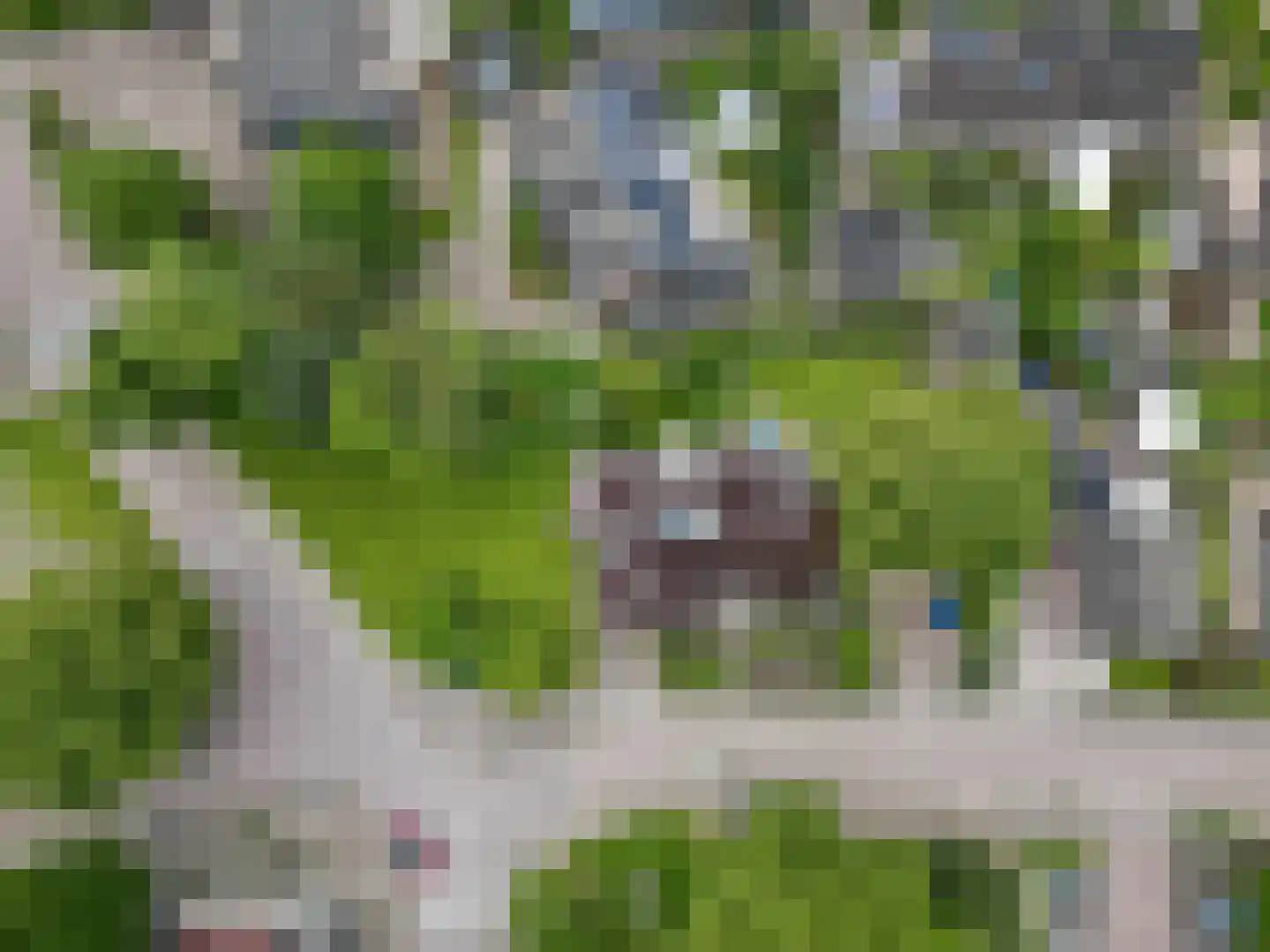Wilhelminaplein 6 Zetten thumbnail 29