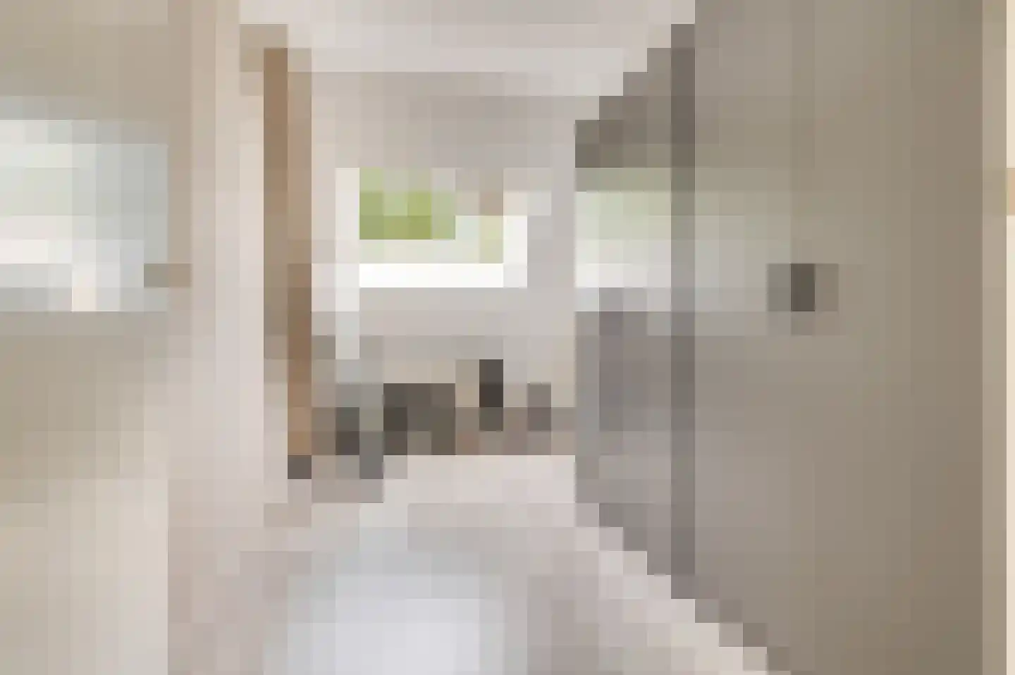 Wilhelminaplein 6 Zetten thumbnail 8