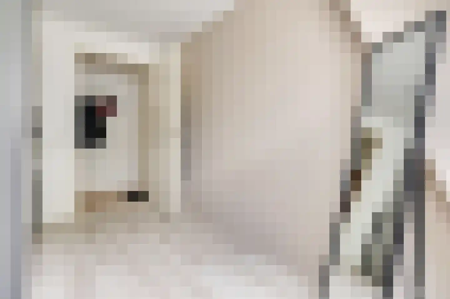 Wilhelminaplein 6 Zetten thumbnail 9
