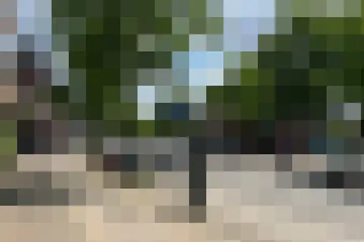 Wilhelminaplein 7 A Roermond thumbnail 34