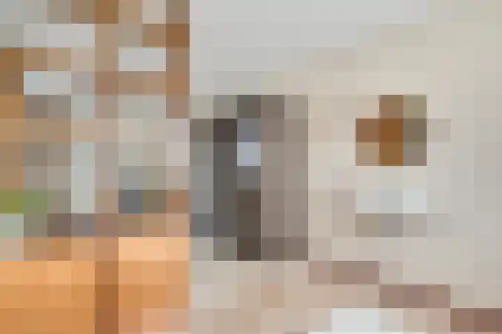 Wilhelminaplein 9 Maarheeze thumbnail 32