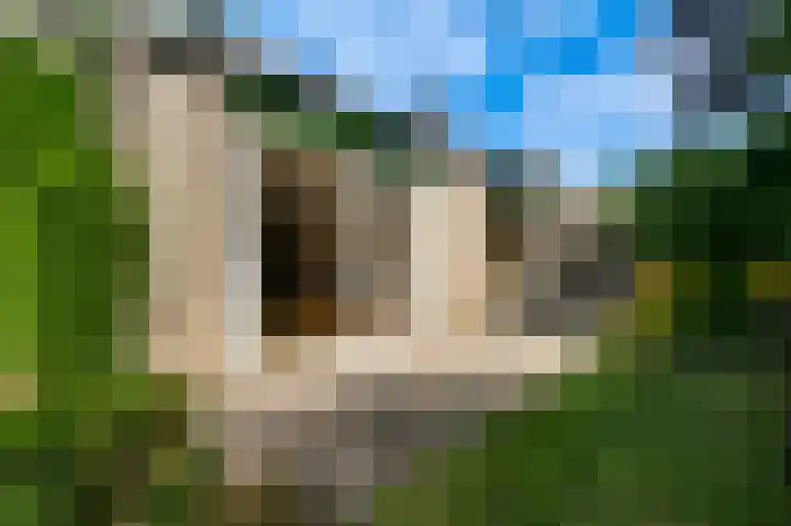 Wilhelminaplein 9 Maarheeze thumbnail 37