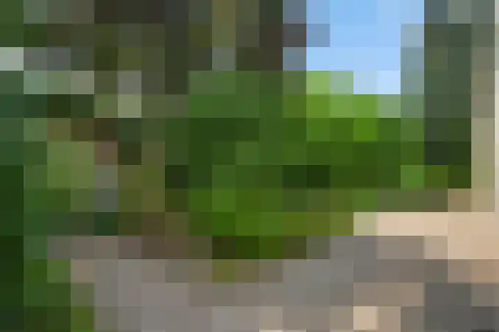 Wilhelminaplein 9 Maarheeze thumbnail 38