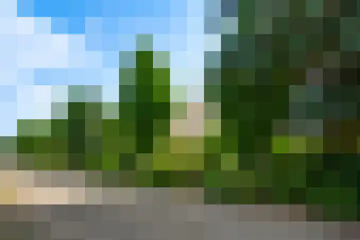Wilhelminaplein 9 Maarheeze thumbnail 39