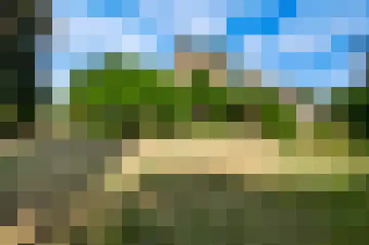 Wilhelminaplein 9 Maarheeze thumbnail 4
