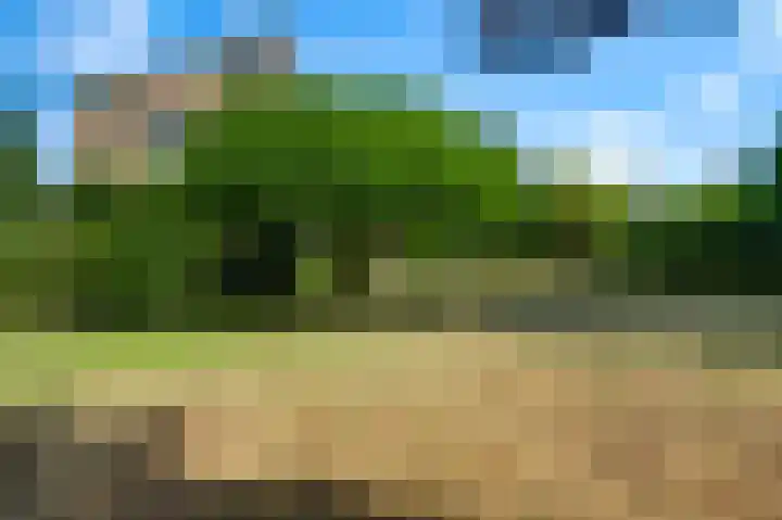 Wilhelminaplein 9 Maarheeze thumbnail 5