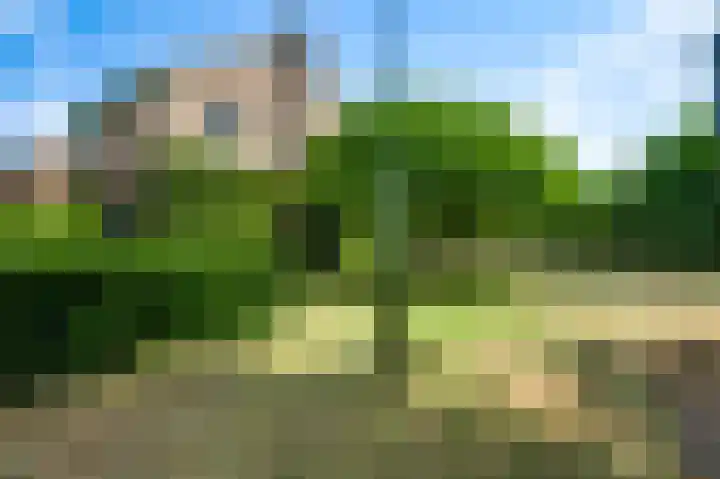 Wilhelminaplein 9 Maarheeze thumbnail 6
