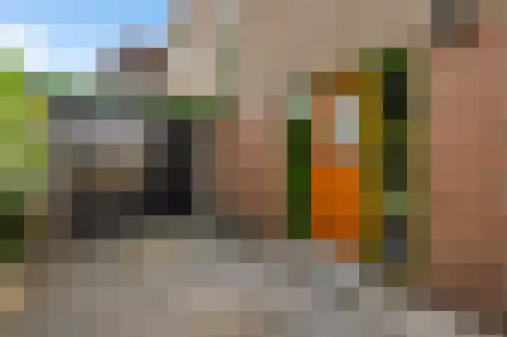Wilhelminaplein 9 Maarheeze thumbnail 7