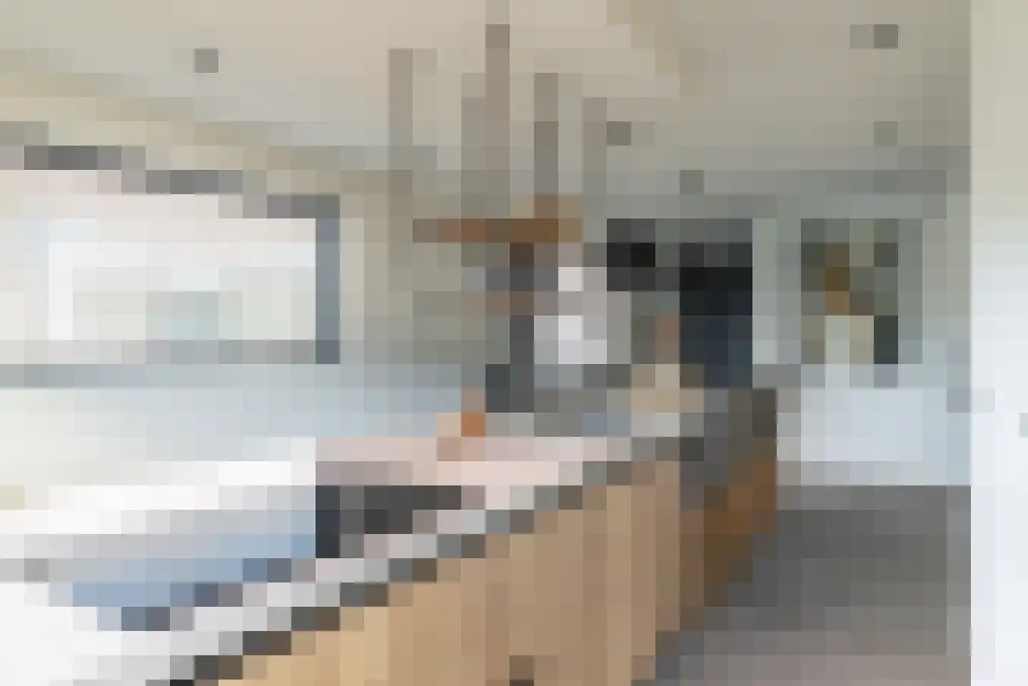 Wilhelminapolderweg 12 Arnemuiden thumbnail 10