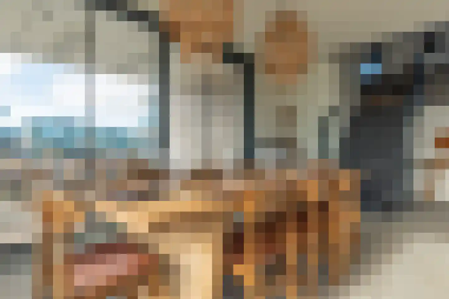 Wilhelminapolderweg 12 Arnemuiden thumbnail 19