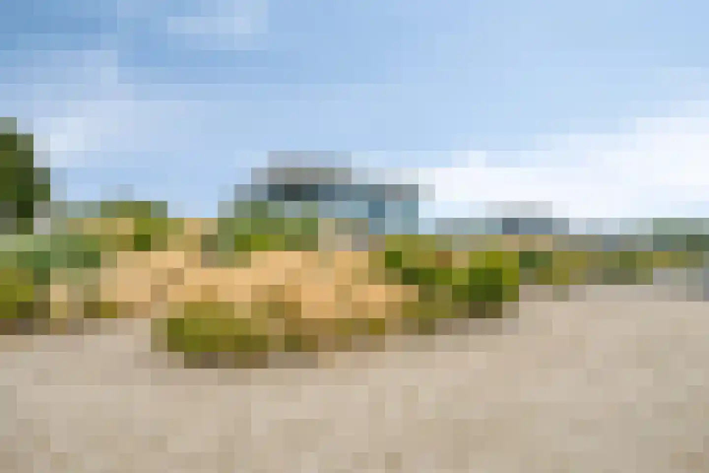 Wilhelminapolderweg 19 Arnemuiden thumbnail 64