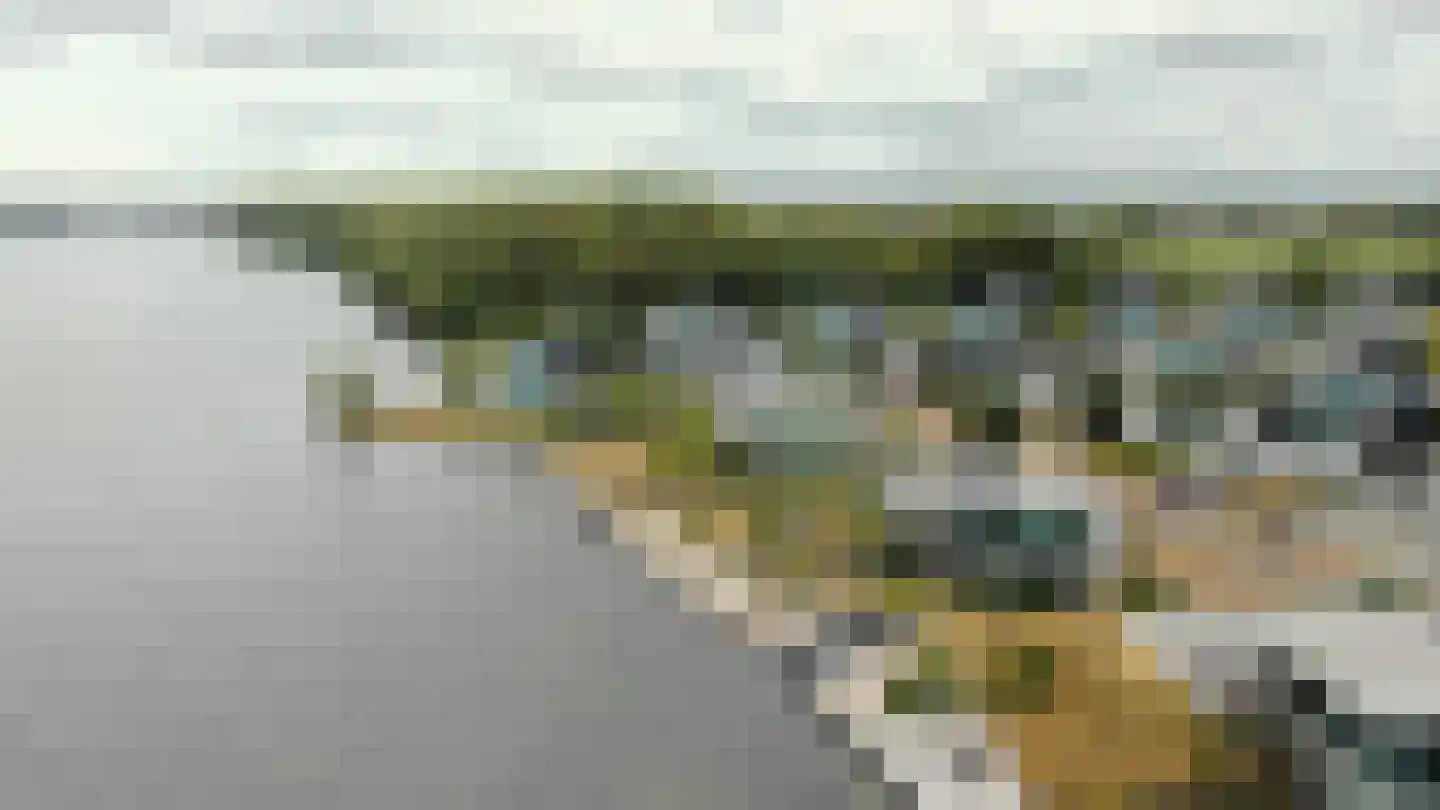Wilhelminapolderweg 19 Arnemuiden thumbnail 79