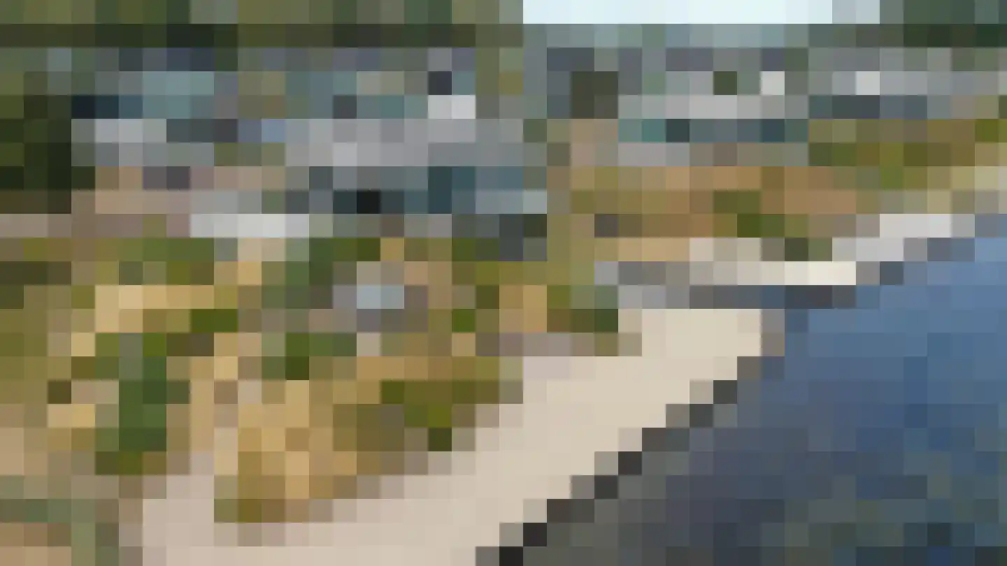 Wilhelminapolderweg 19 Arnemuiden thumbnail 80