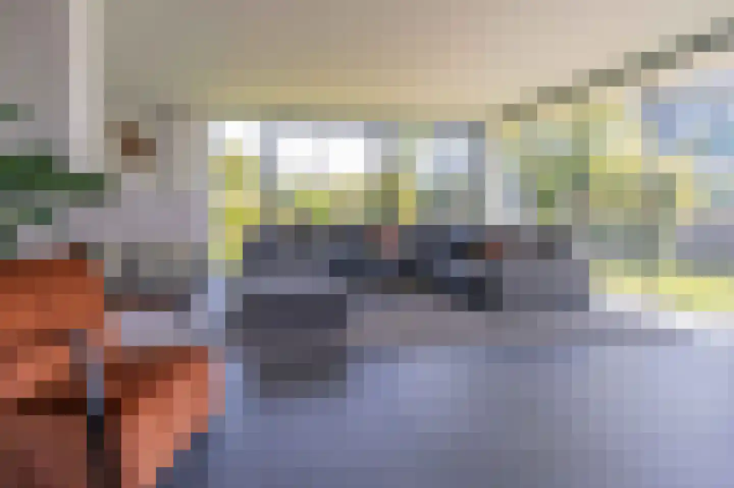 Wilhelminapolderweg 2 Arnemuiden thumbnail 11