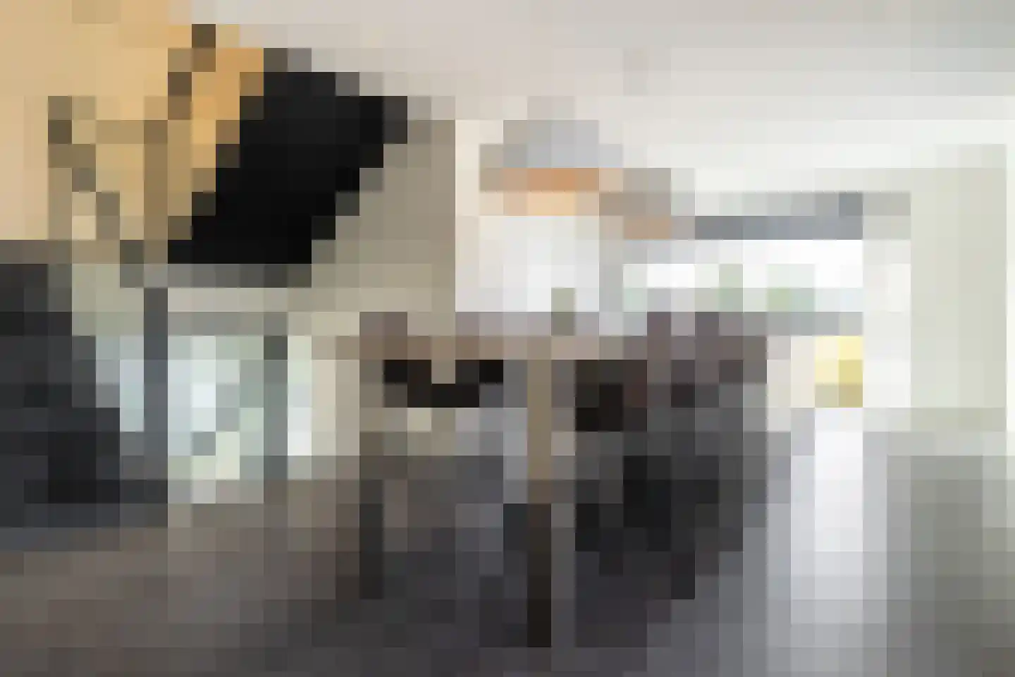 Wilhelminapolderweg 2 Arnemuiden thumbnail 11
