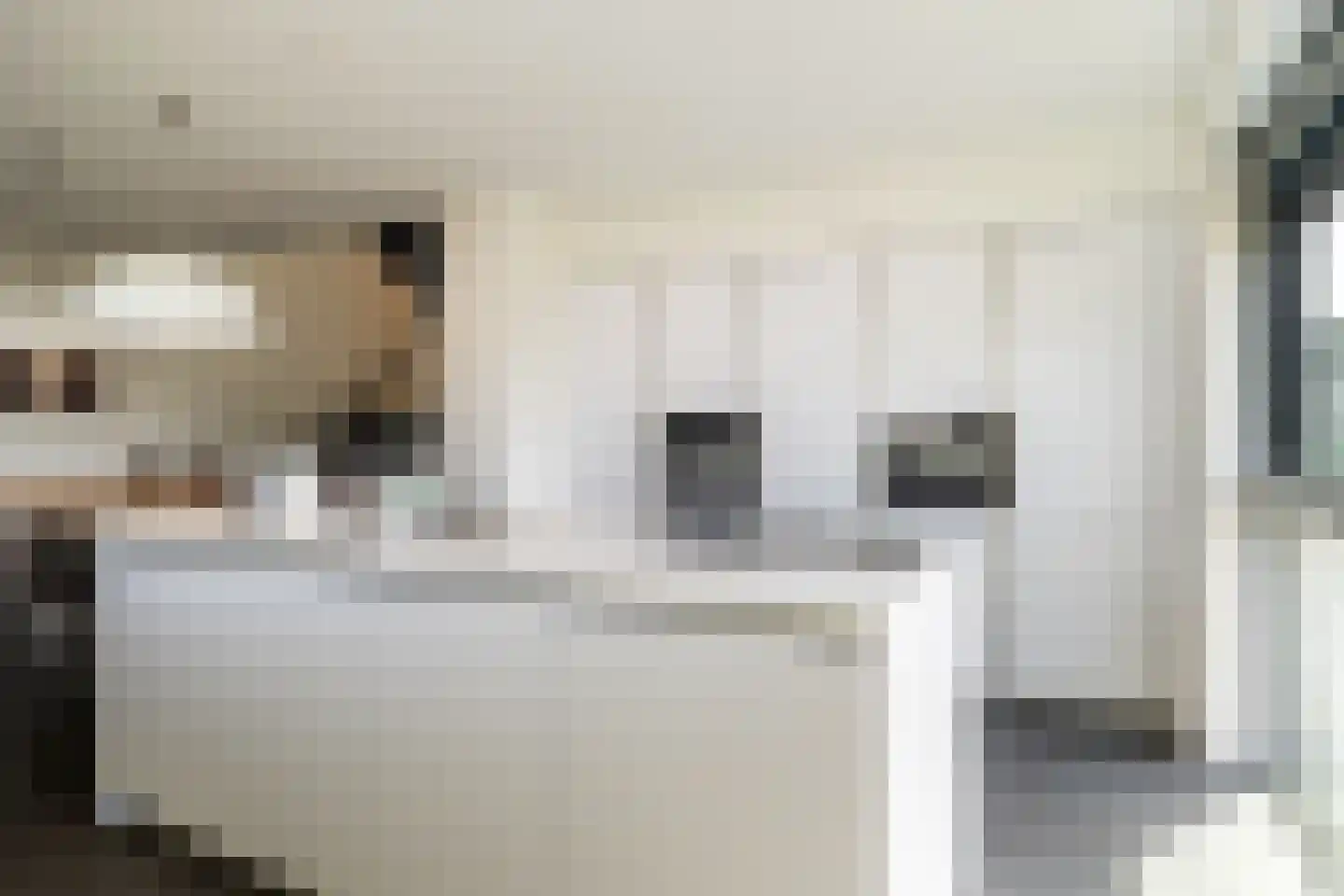 Wilhelminapolderweg 2 Arnemuiden thumbnail 12