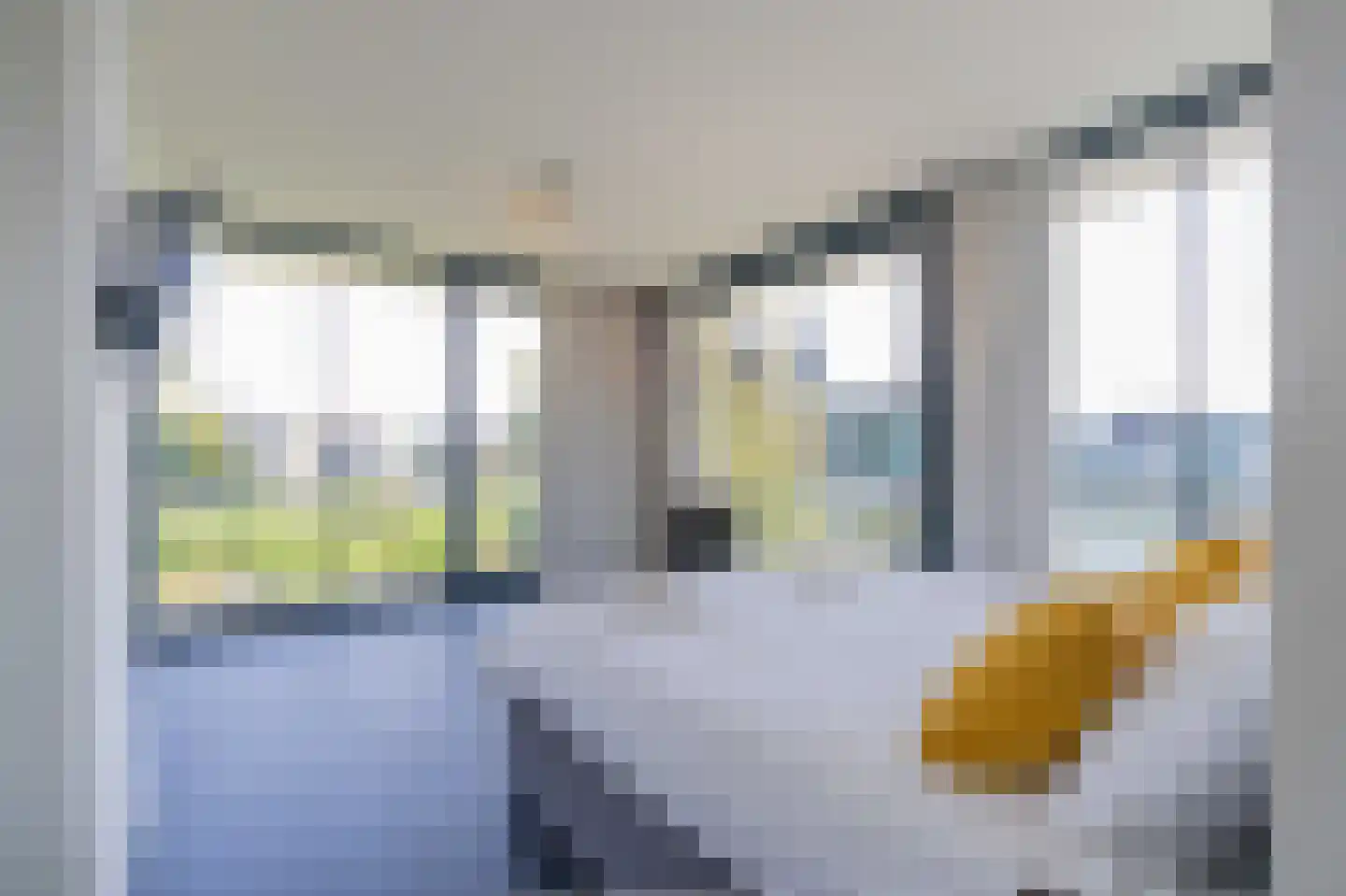Wilhelminapolderweg 2 Arnemuiden thumbnail 14