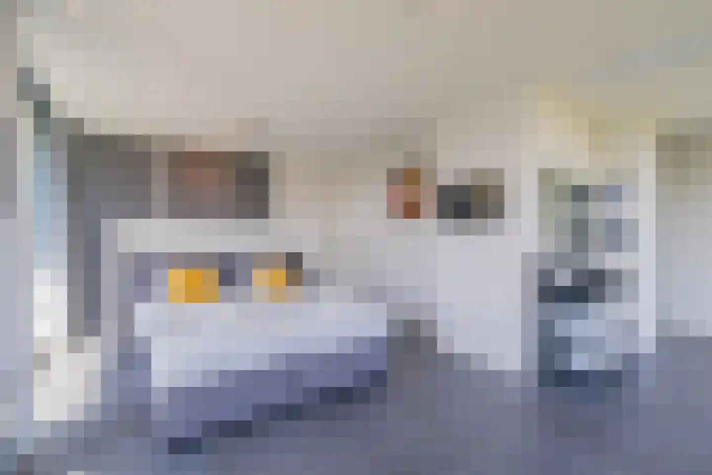 Wilhelminapolderweg 2 Arnemuiden thumbnail 16