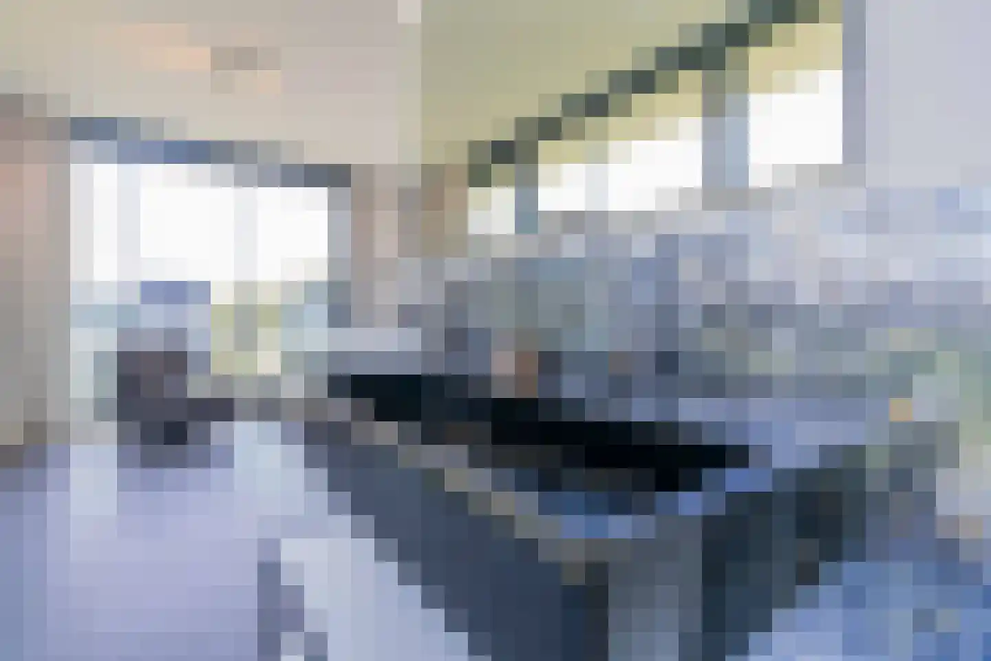 Wilhelminapolderweg 2 Arnemuiden thumbnail 17